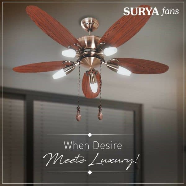 A complete range of Fans â€“ by Surya Fans