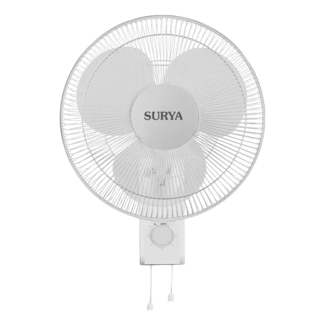 Royale-ns wall fan