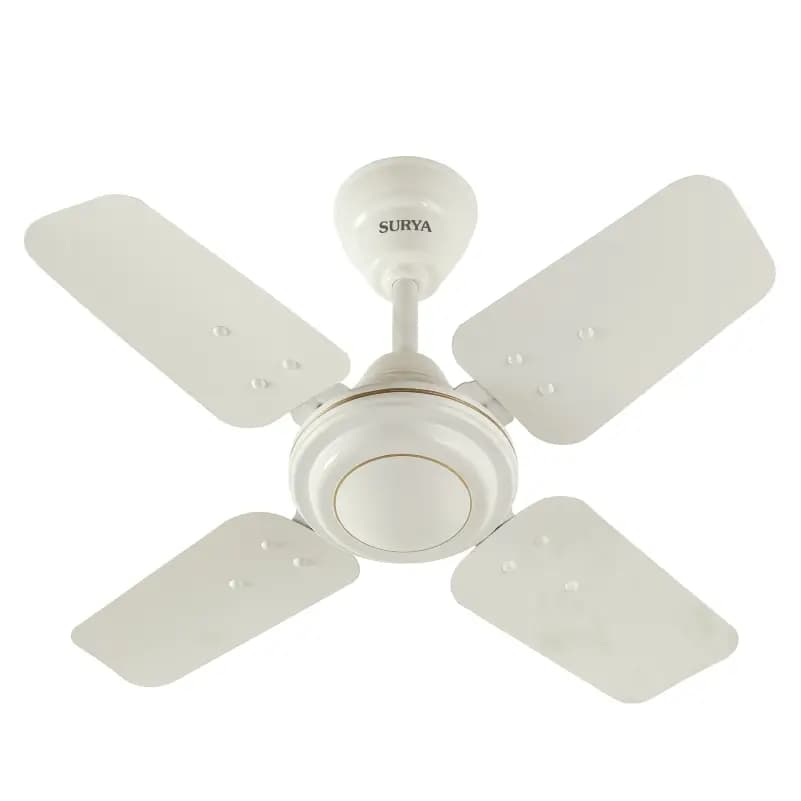 Shakti 24 Ceiling Fan 2