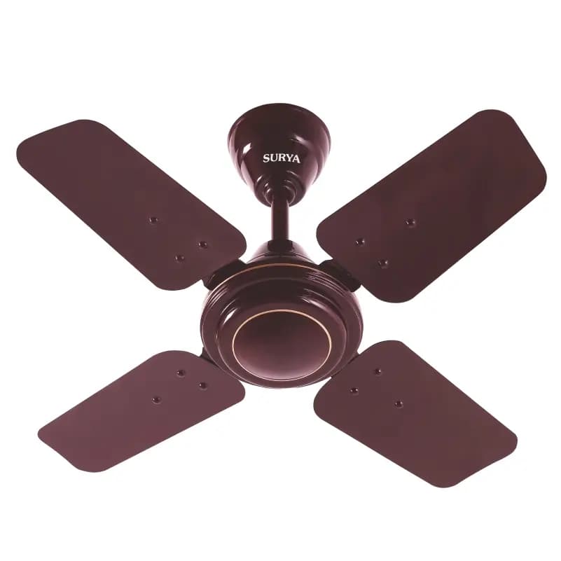 Shakti 24 Ceiling Fan 1