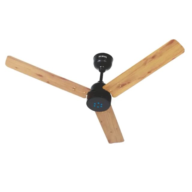 Surya Smart BLDC Fan 1