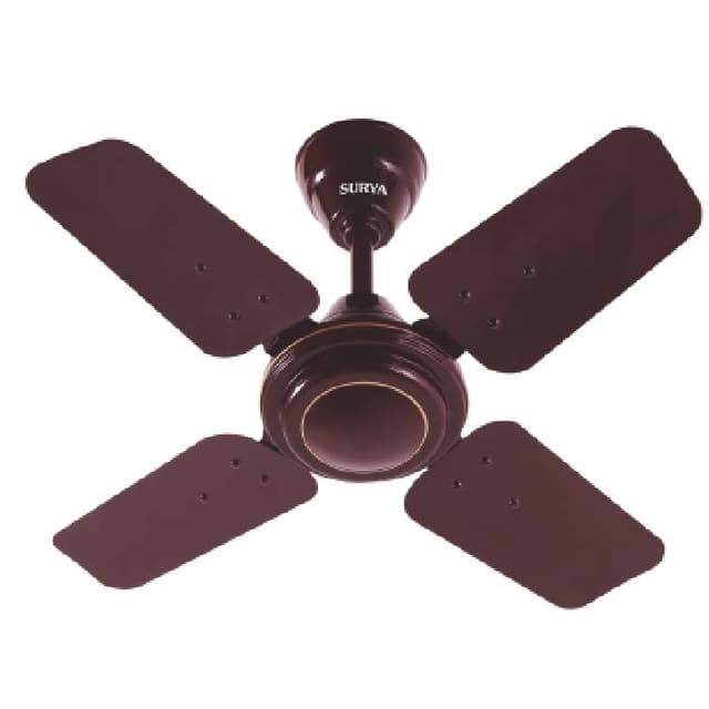 Shakti 24 Ceiling Fan 1