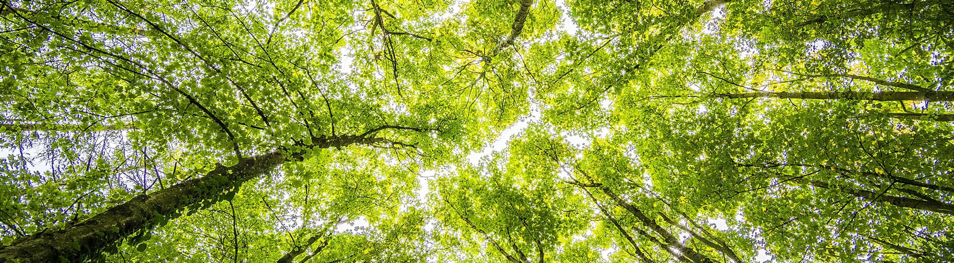 Environment management