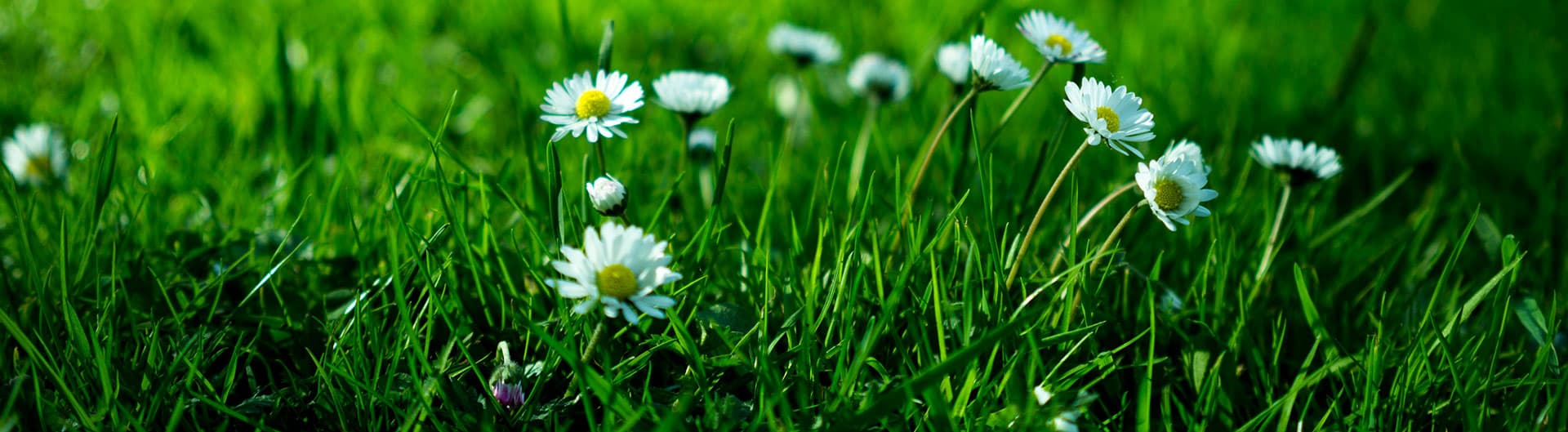 Environment management