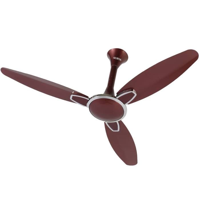 Surya 5 star petal BLDC fan