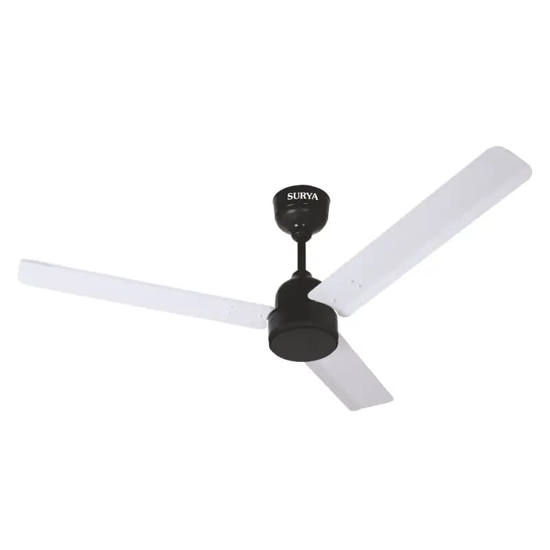 Surya Smart BLDC Fan 6