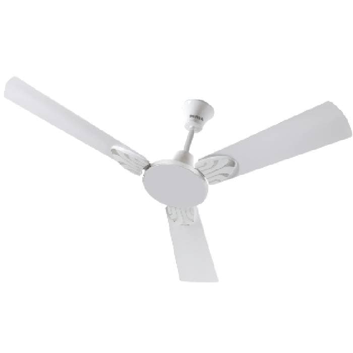 Divine Ceiling Fan 2