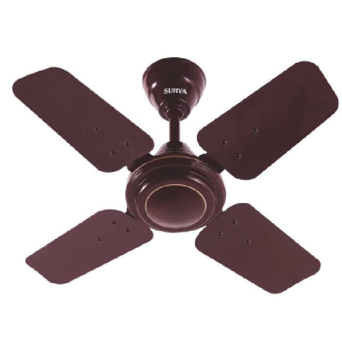 Shakti 24 Ceiling Fan 1